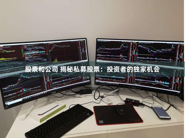 股票和公司 揭秘私募股票：投资者的独家机会