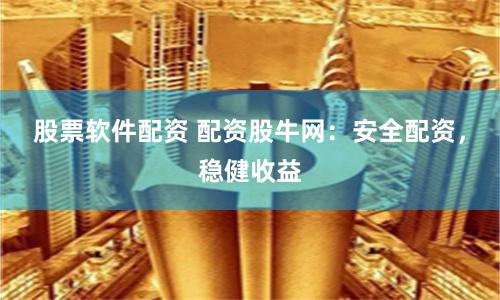 股票软件配资 配资股牛网：安全配资，稳健收益