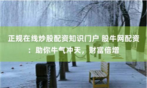正规在线炒股配资知识门户 股牛网配资：助你牛气冲天，财富倍增
