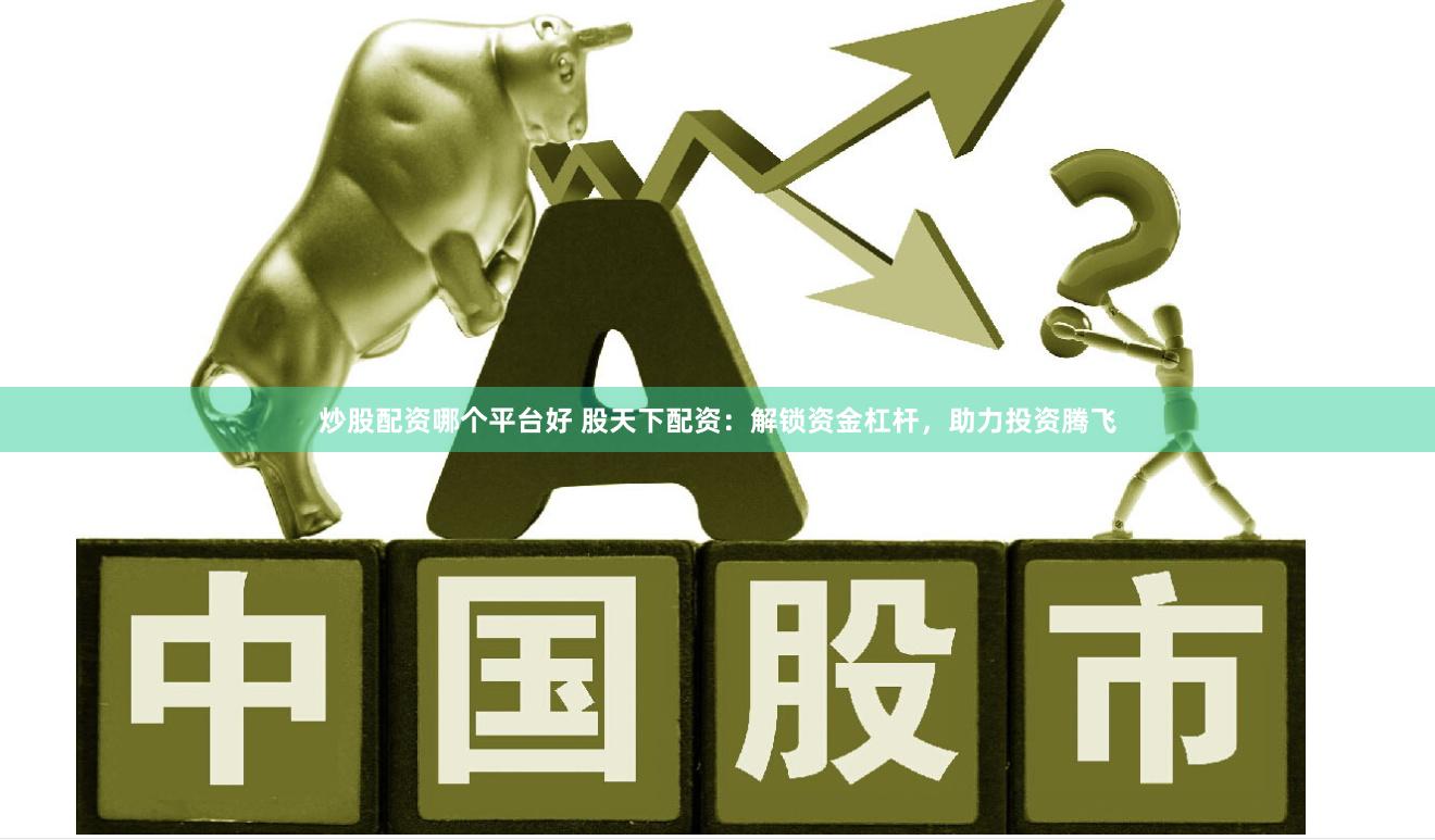 炒股配资哪个平台好 股天下配资：解锁资金杠杆，助力投资腾飞