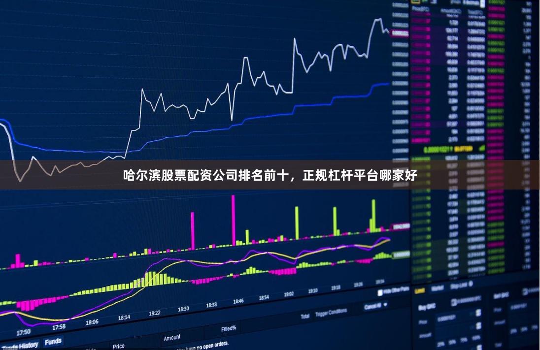 哈尔滨股票配资公司排名前十,正规杠杆平台哪家好