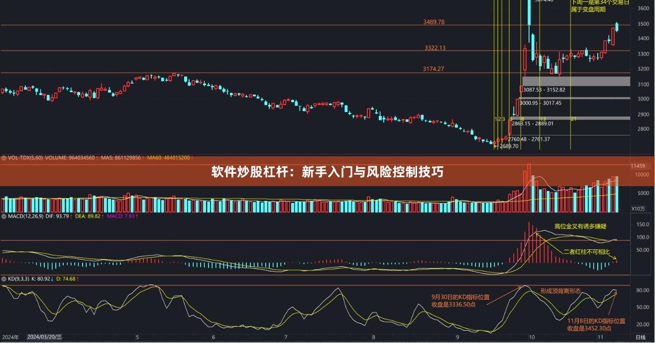 软件炒股杠杆：新手入门与风险控制技巧